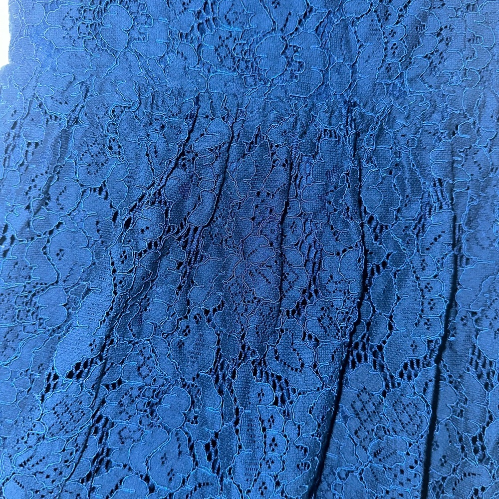 Francesca's Collections High-Low Blue Lace Dress - Picture 3 of 5